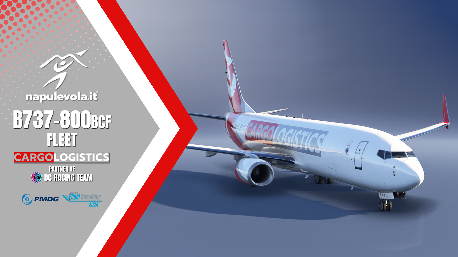 Boeing 738-800 PMDG Cargo OPS - Livery Pack - FS2024 ready